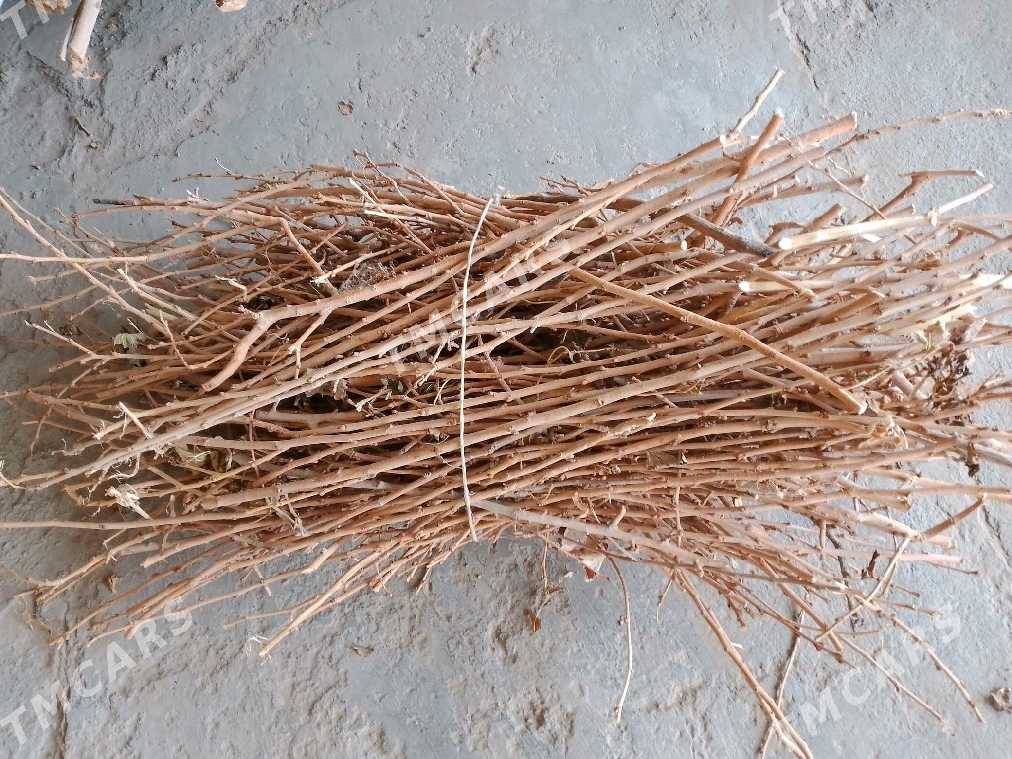 Odun tut agajy - Garadamak - img 3