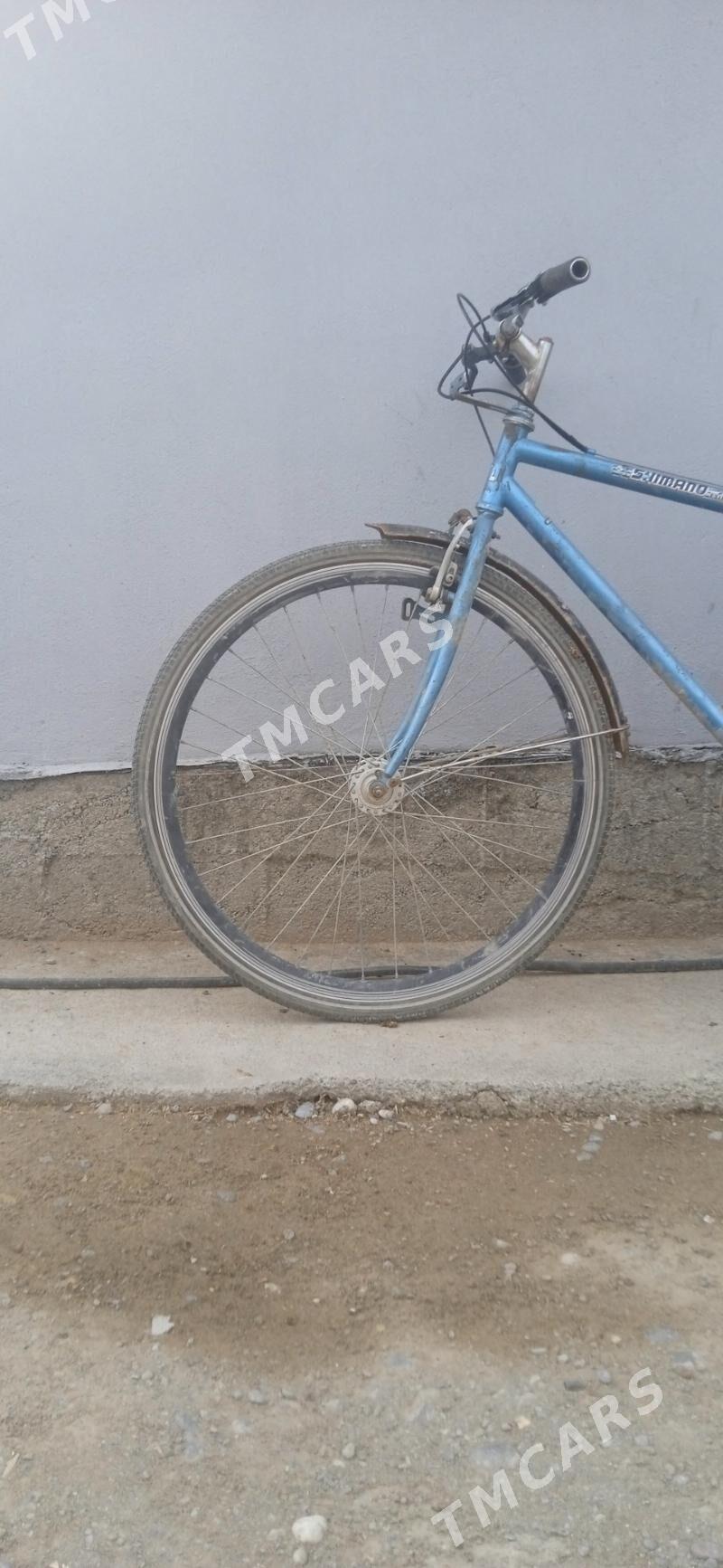 Yapoşga tigit - Garadamak - img 3