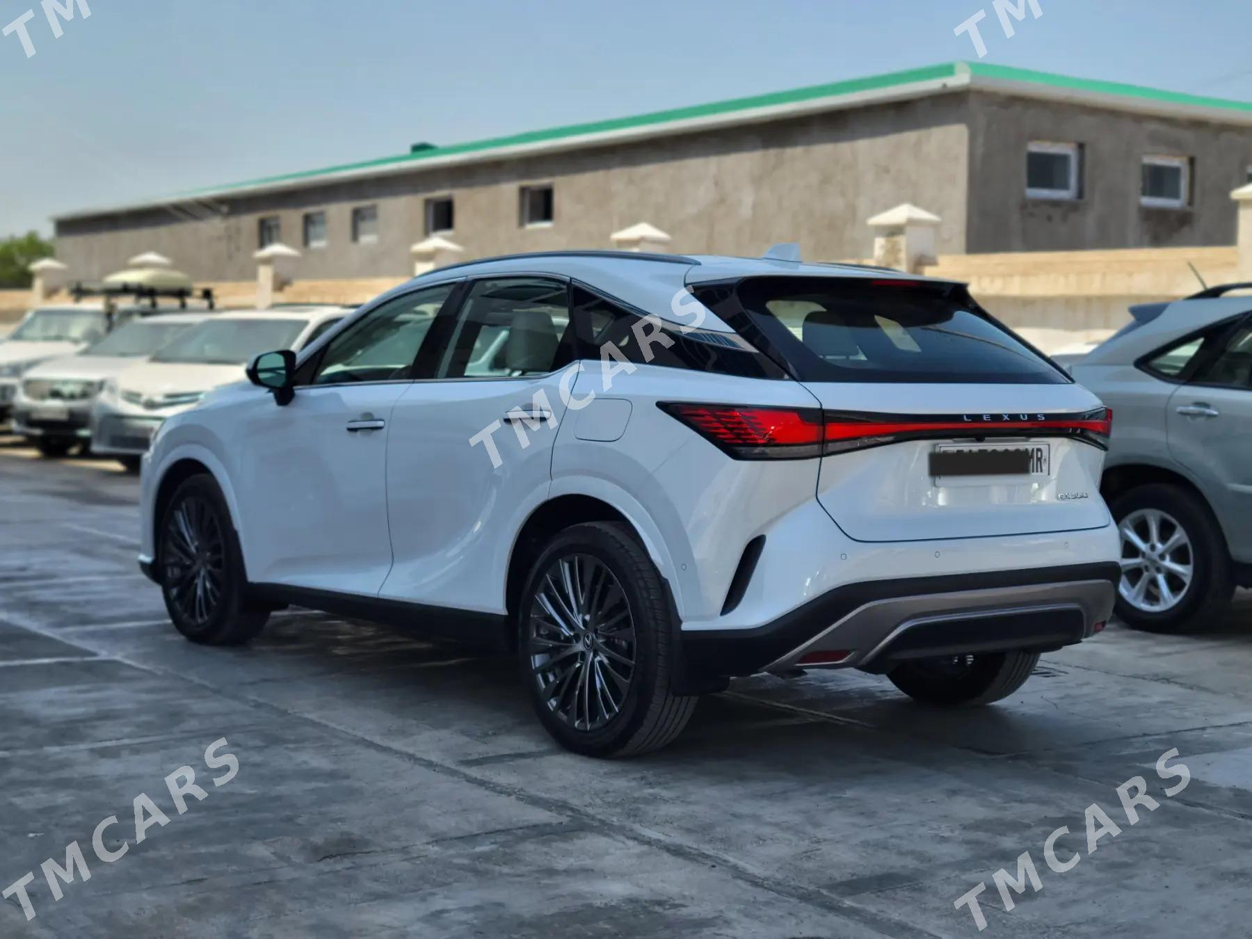 Lexus RX 350 2023 - 890 244 TMT - Mary - img 3