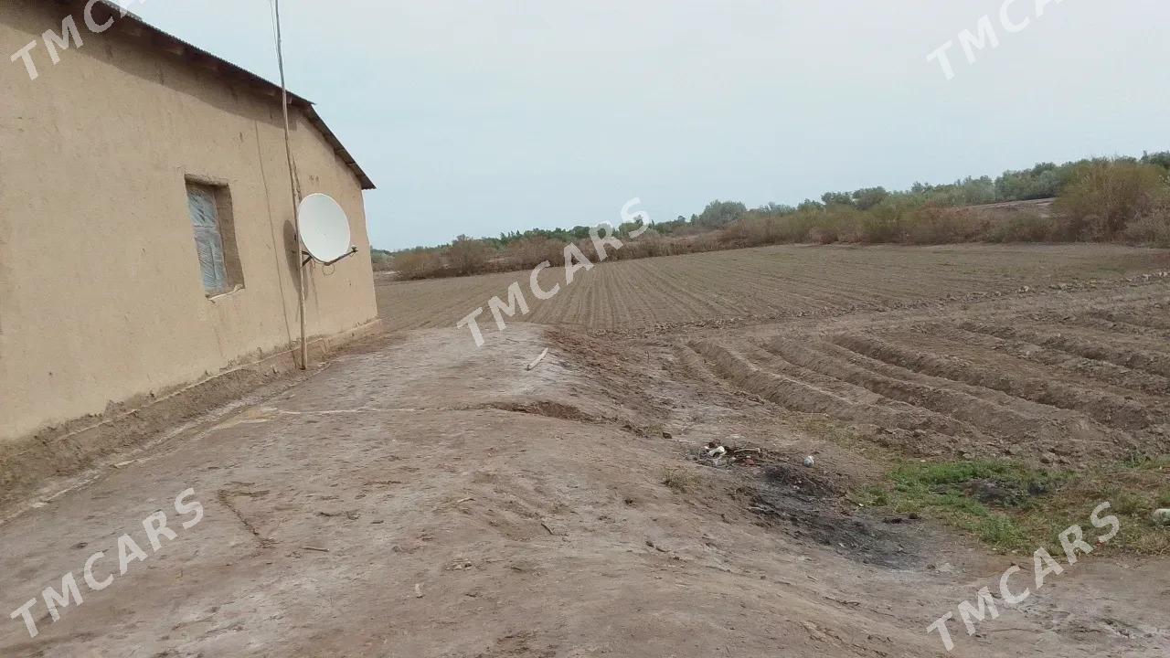 Сатлык джай - Boldumsaz - img 5