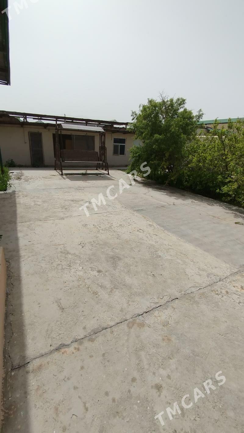 Bagyr Mirewe satlyk plan - Багир - img 10