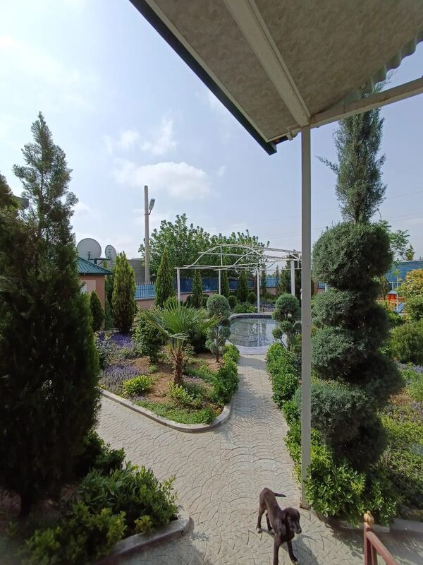 bekrewe luks - Aşgabat - img 3