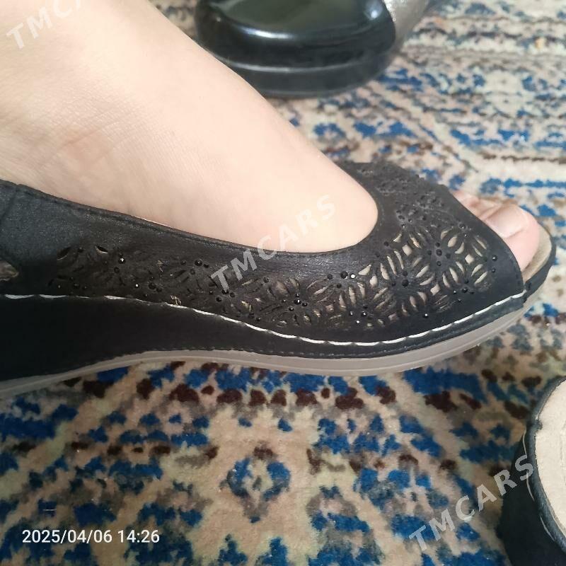 kovushler - Daşoguz - img 2