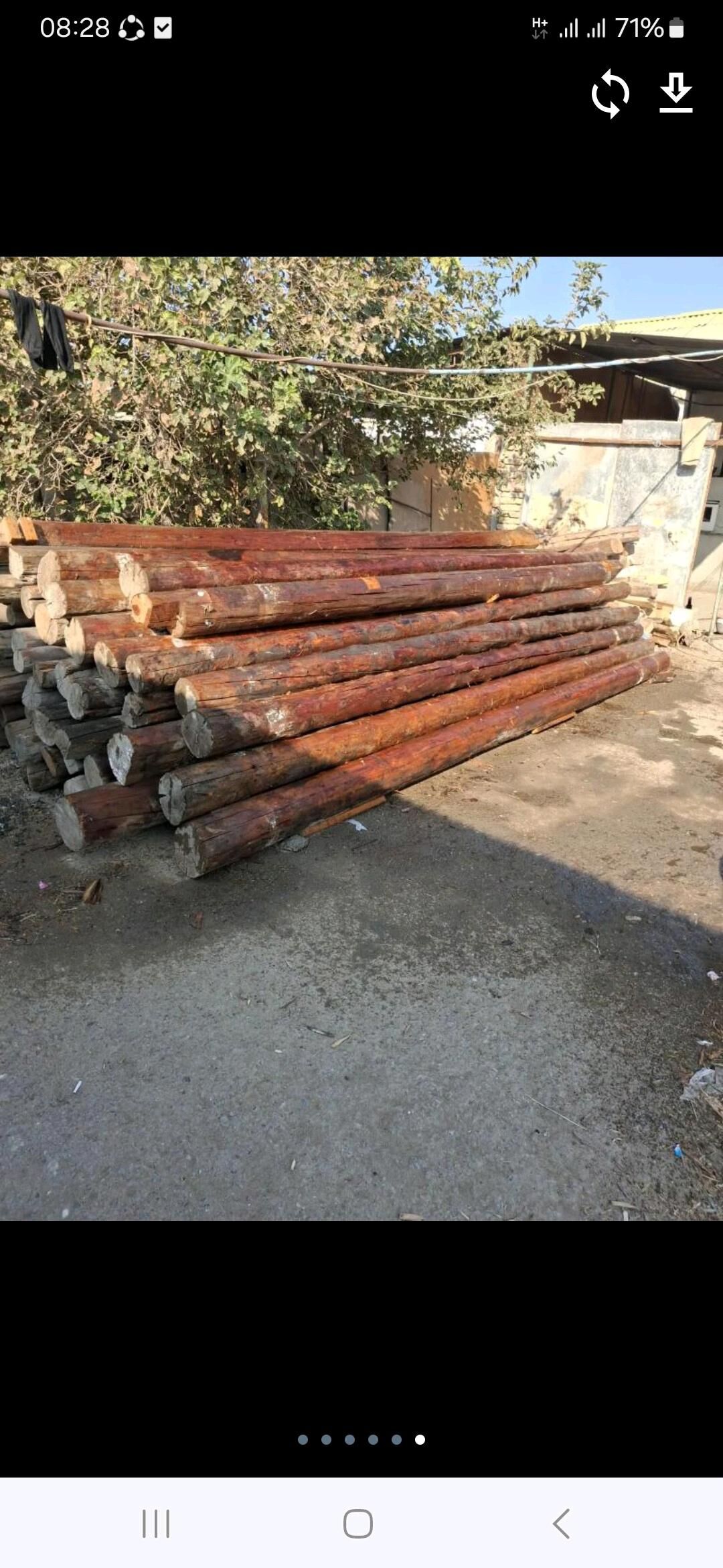 polluk agac laminat alyas - Ашхабад - img 4