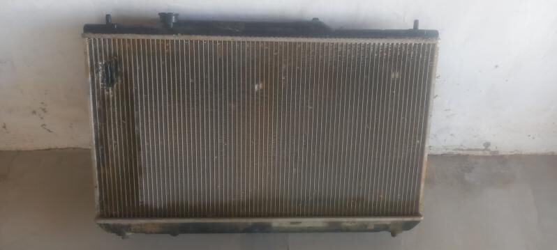 Radiator babiçka 250 TMT - Эсенгулы - img 2