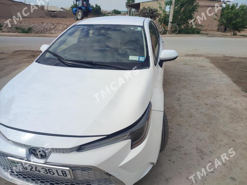 Toyota Corolla 2022 - 260 000 TMT - Kerki - img 6