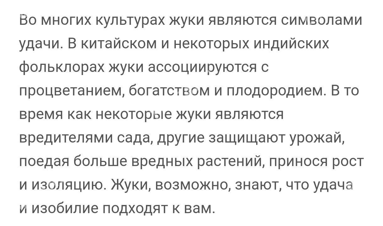Янтарь Ýantar - Balkanabat - img 7