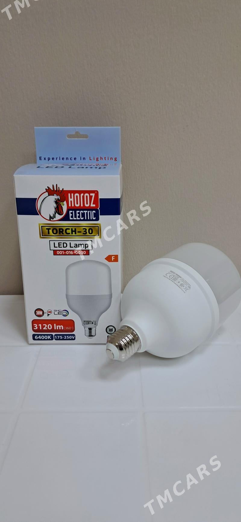 Horoz Premier led lampalar - Moskowskiý köç. (10 ýyl abadançylyk şaýoly) - img 3