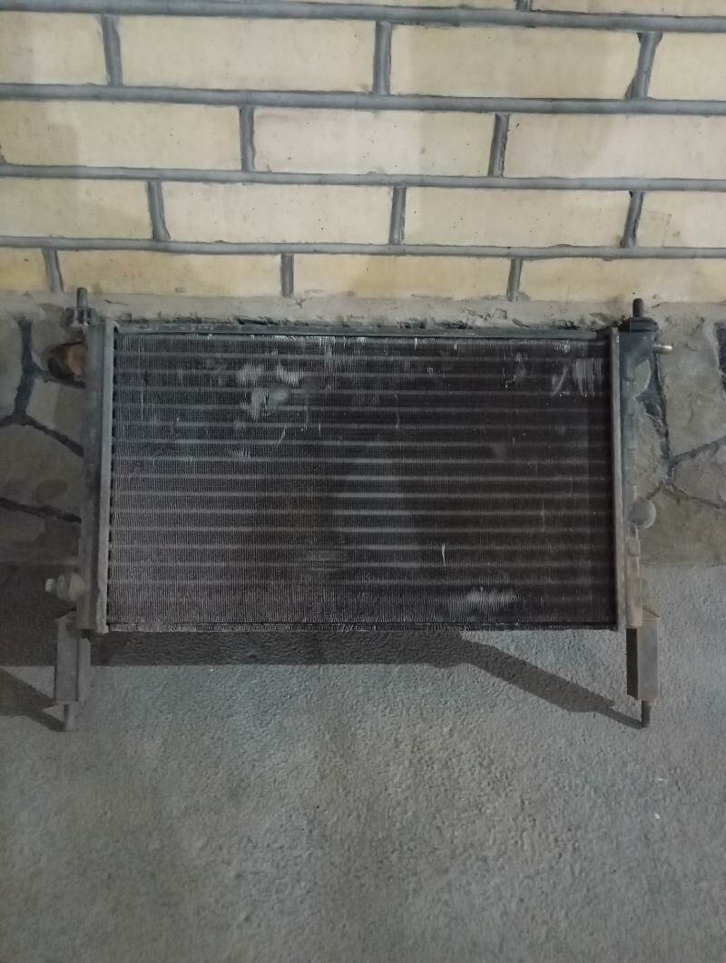 radyator 100 TMT - Мары - img 2