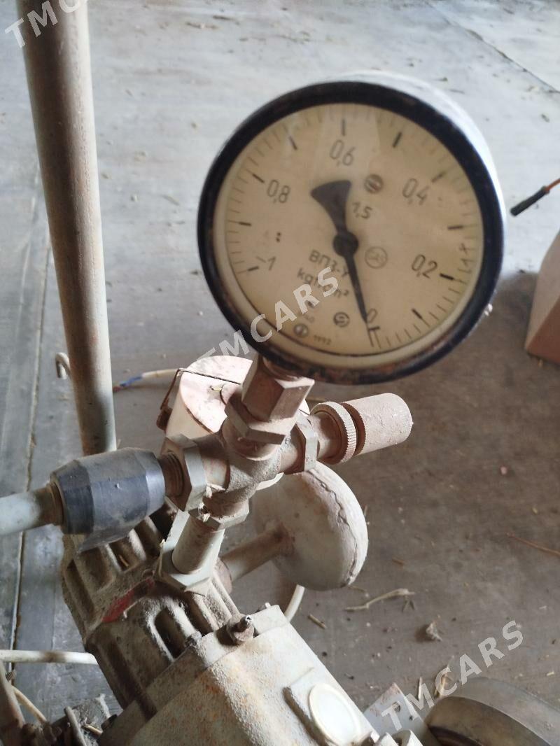 sygyr sagyan aparat 220 v - Mary - img 2