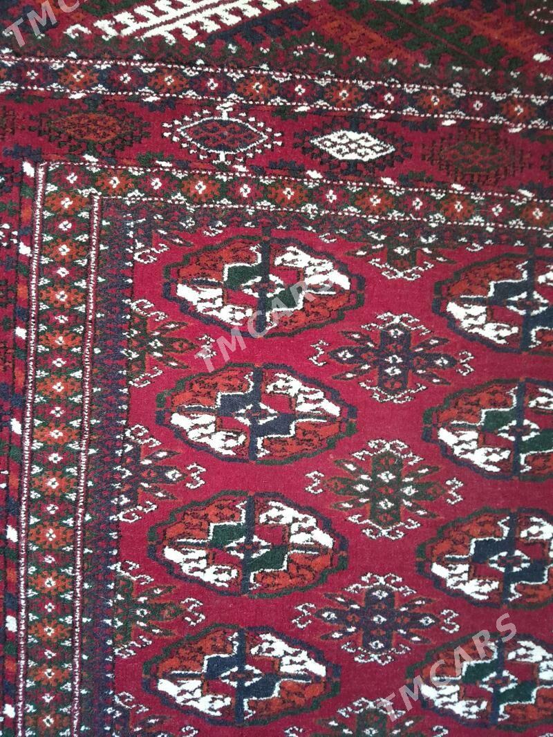 turkmen el halysy - Гызыларбат - img 3