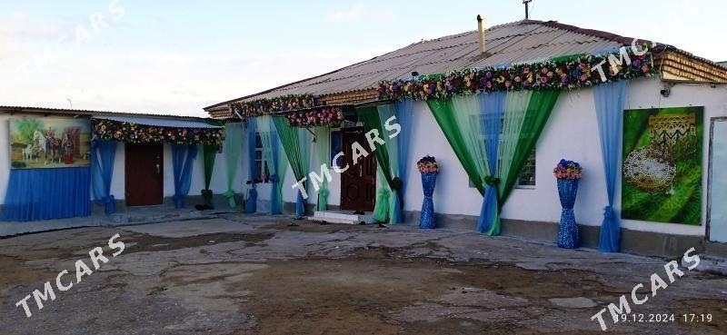 toy bezeg gyssagly - Гёкдепе - img 3