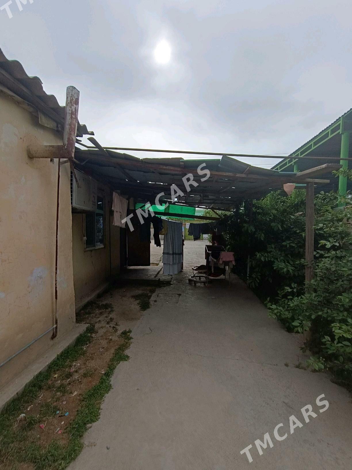 Búzmeýin kruk - Büzmeýin - img 2