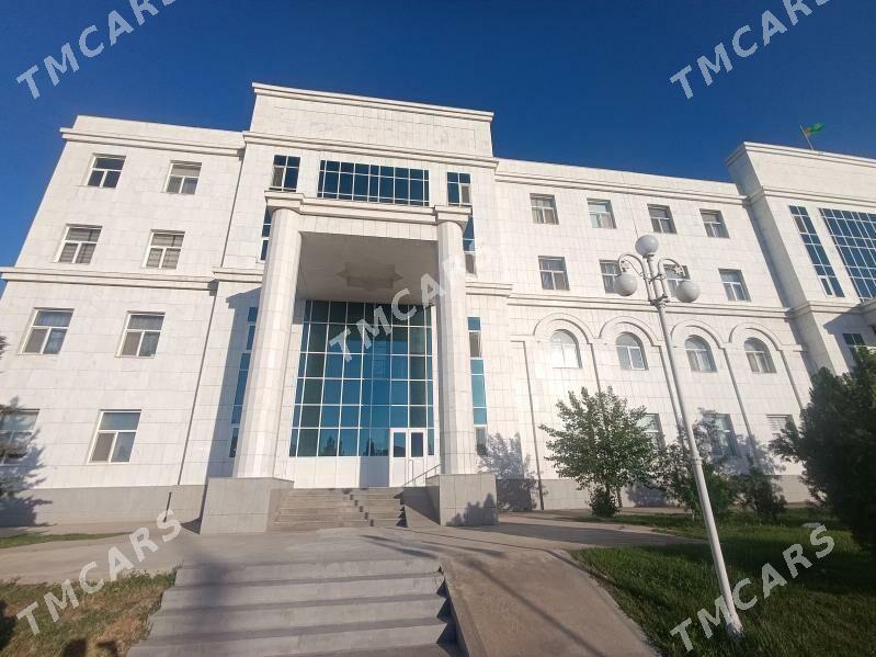 Elitka Gogol koce - Aşgabat - img 2