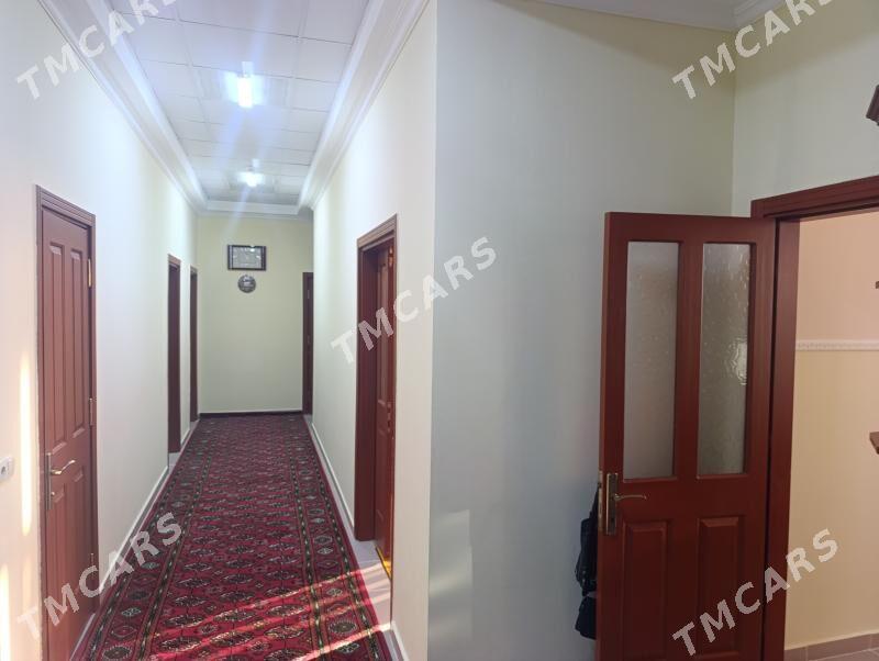 Elitka Gogol koce - Aşgabat - img 3