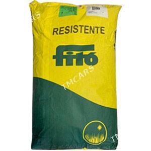 fito - Ашхабад - img 5