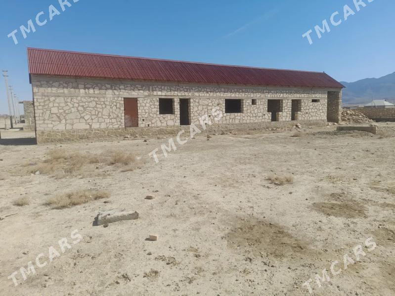 Täze gurlan jaý - Bereket - img 2