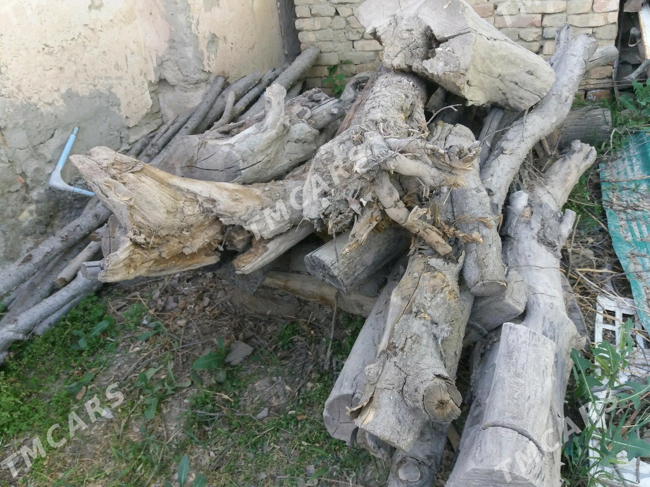 Odun ýakmak üçin - Gökdepe - img 3