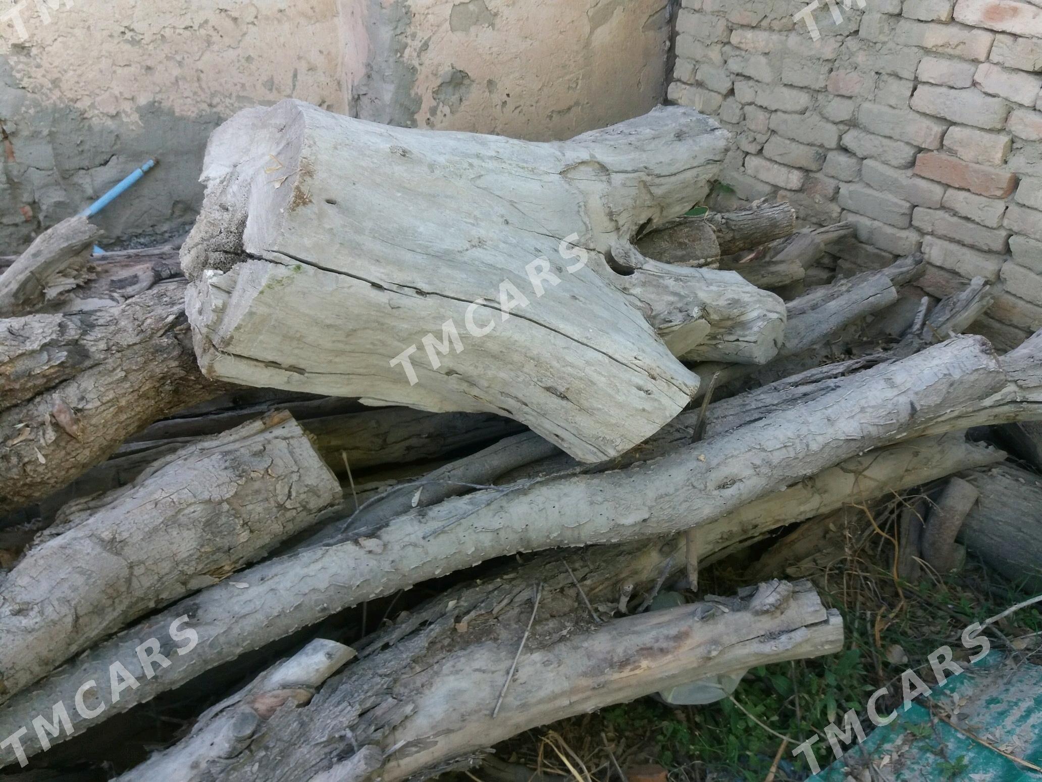 Odun ýakmak üçin - Gökdepe - img 5