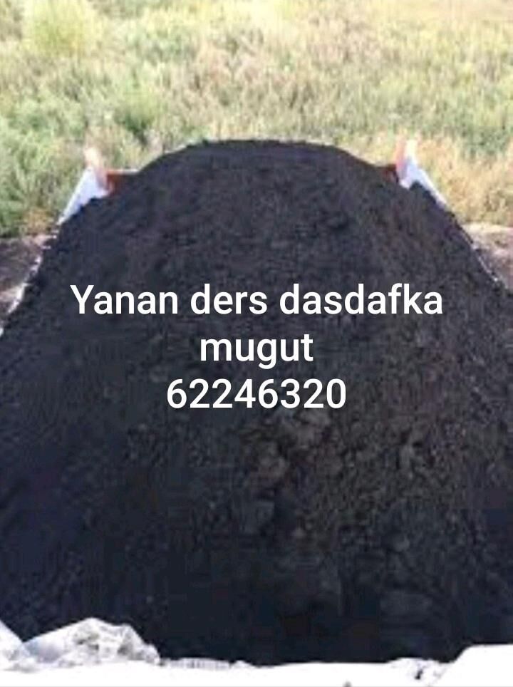 MITI MYTY DERS KERPIC GUM SMNT - Bedew - img 10