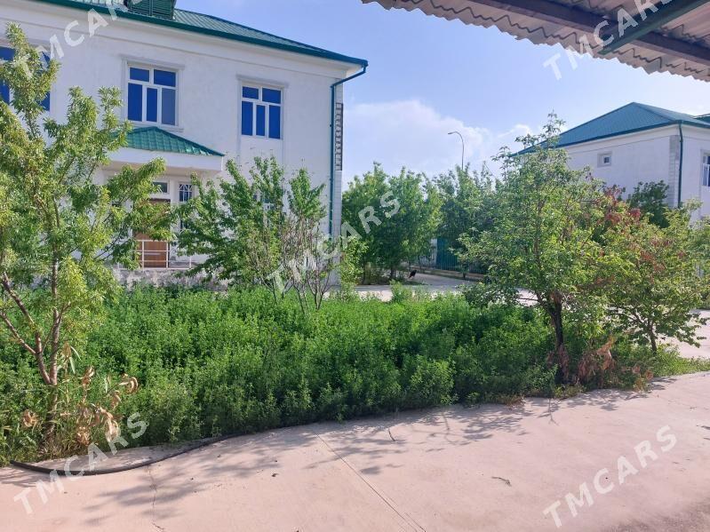 Taze zaman kates 5 komnat - Тязе заман - img 1
