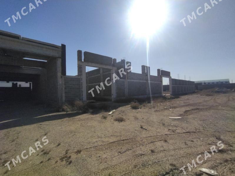Promzona 1 ga onümçilik baza - Ашхабад - img 5