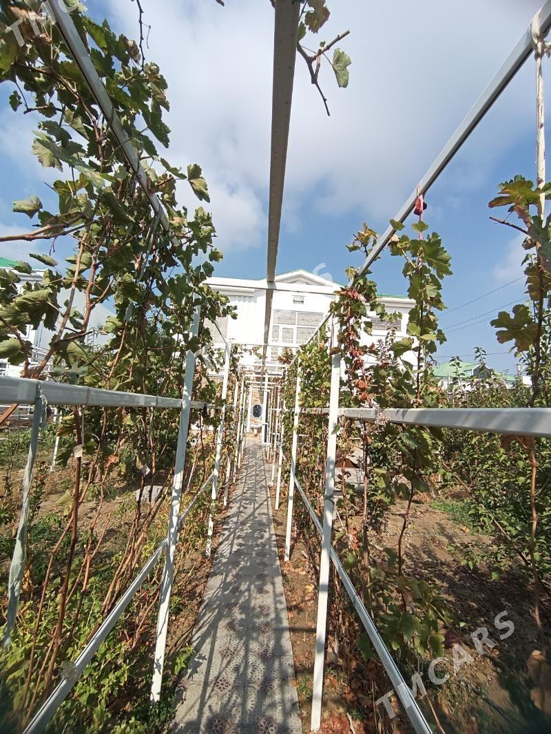 Satlyk Anew Kotej Анев Котеж - Aşgabat - img 2