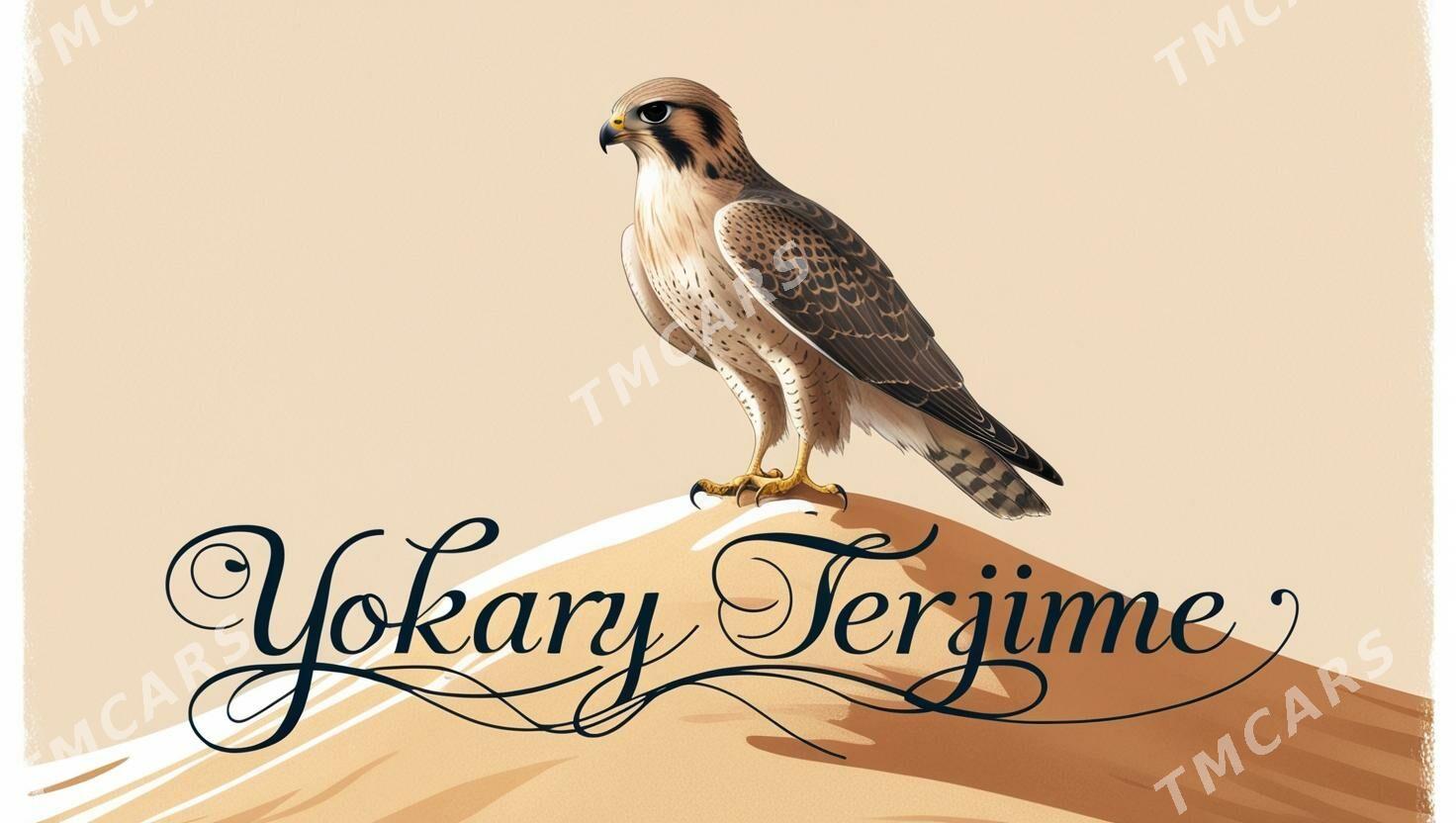 terjime переводы - Ким район - img 2