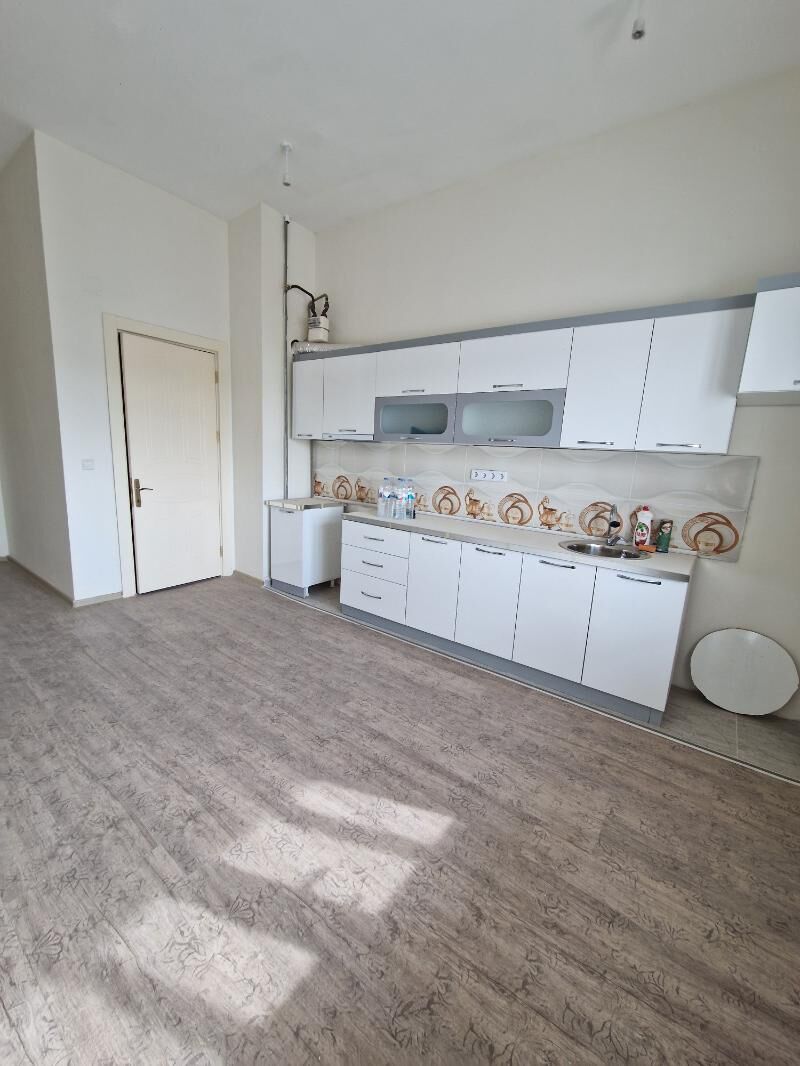 Satlyk polu elitga - Анев - img 2