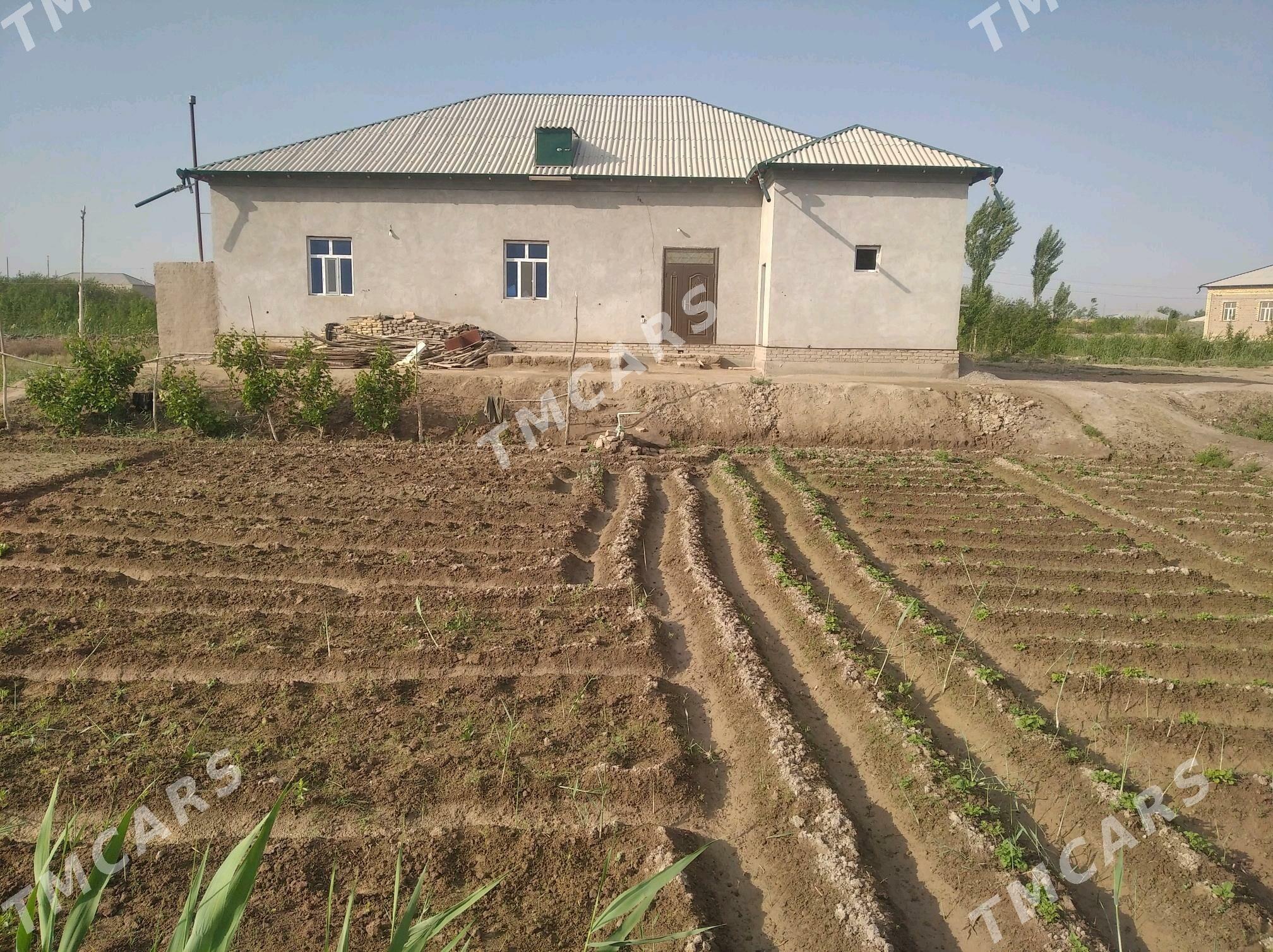 столик,жой - Şabat etr. - img 4