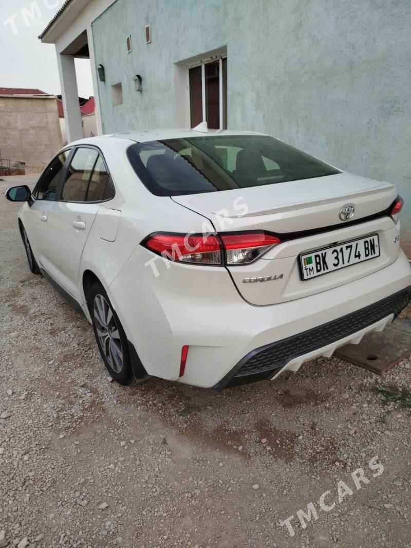 Toyota Corolla 2020 - 250 000 TMT - Балканабат - img 3