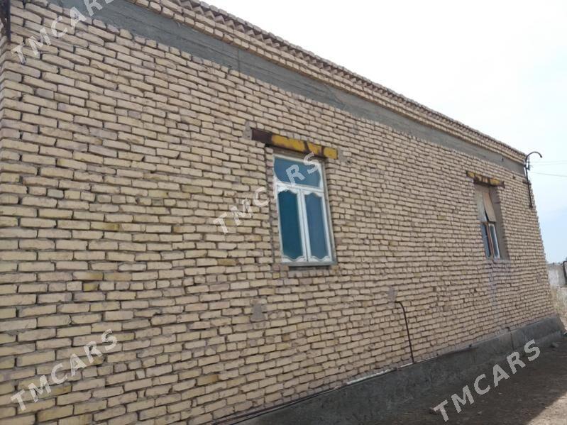 jay - Дашогуз - img 8