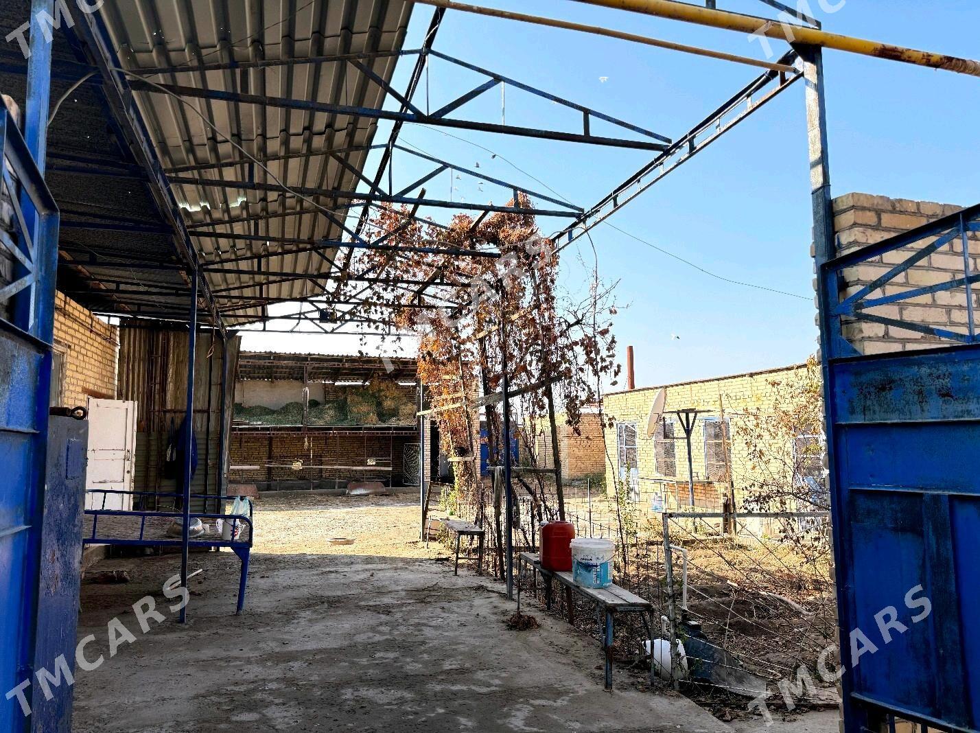 satlyk daça - Туркменабат - img 5