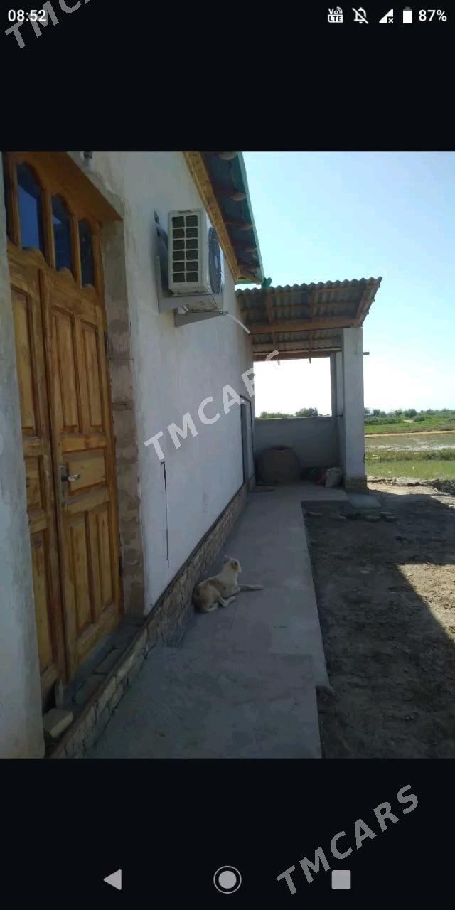 SATLYK JAY - Şabat etr. - img 10