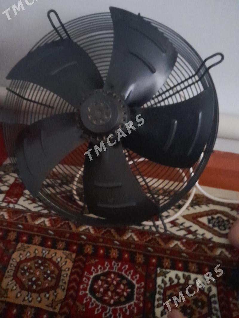 witiçka - Tejen - img 2