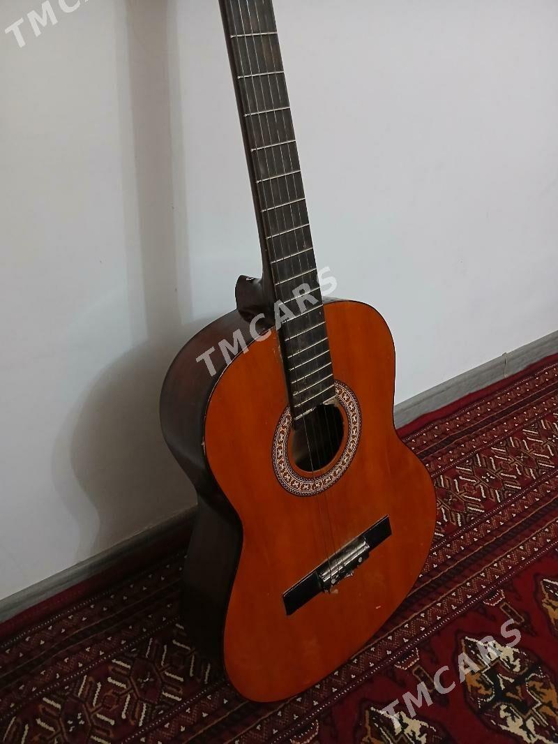 Gitara juanita - Daşoguz - img 2