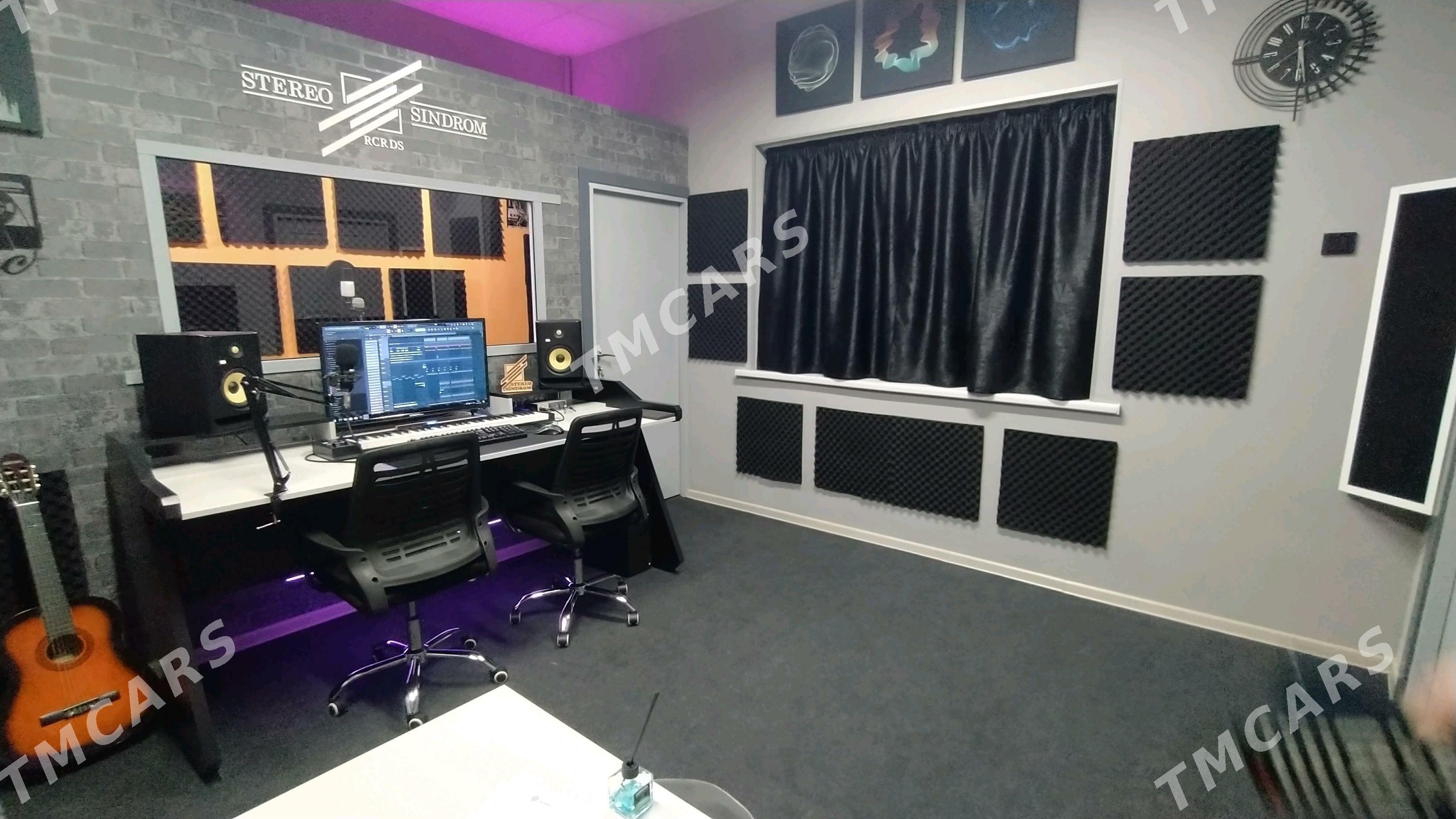 Studio Mikrafon SE Electronics - Mary - img 2