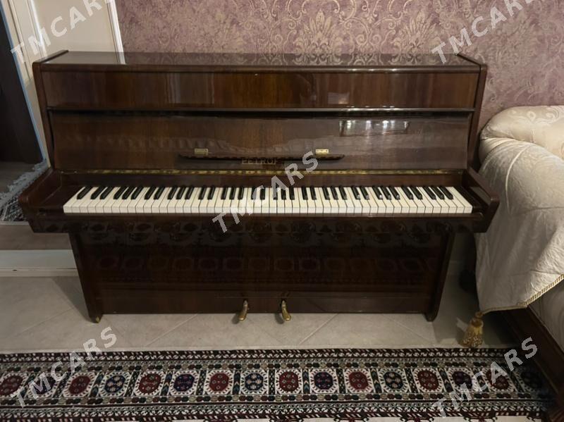 pianino petrof - Aşgabat - img 3