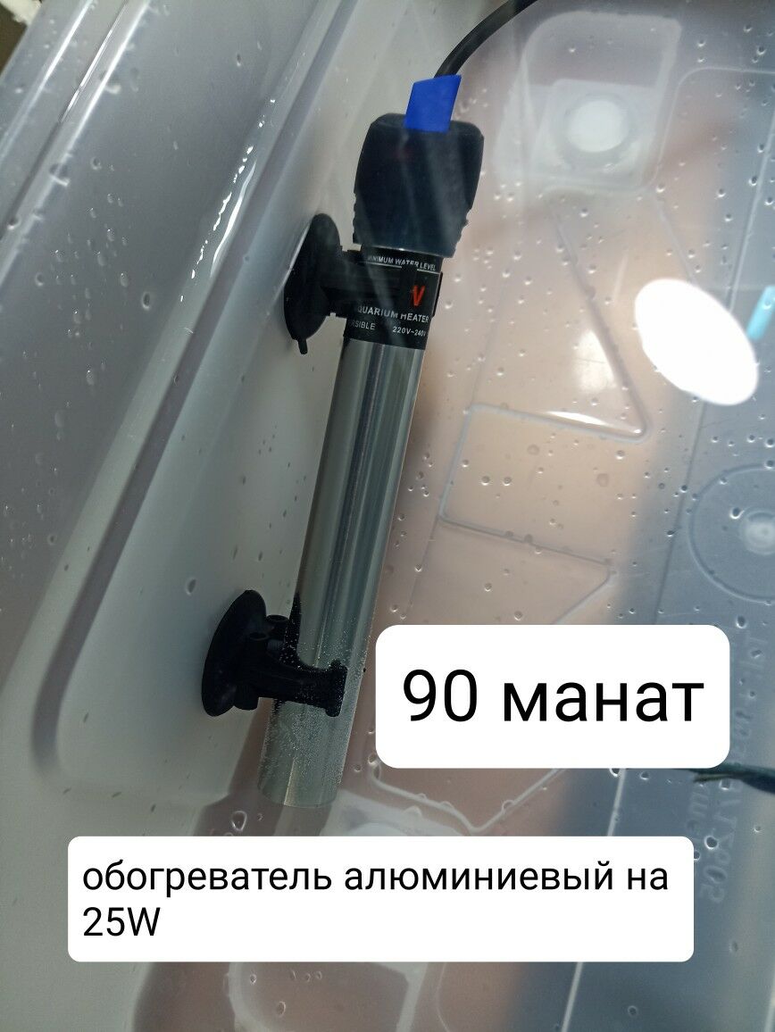 Рыбы,растения,оборудование т.д - Мир 3 - img 4