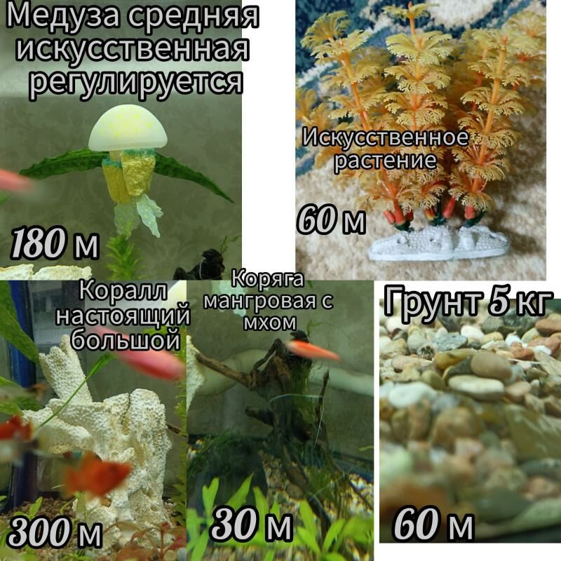 Рыбы,растения,оборудование т.д - Мир 3 - img 3