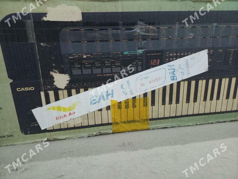 Sindizator,blok CASIO - Kaka - img 2