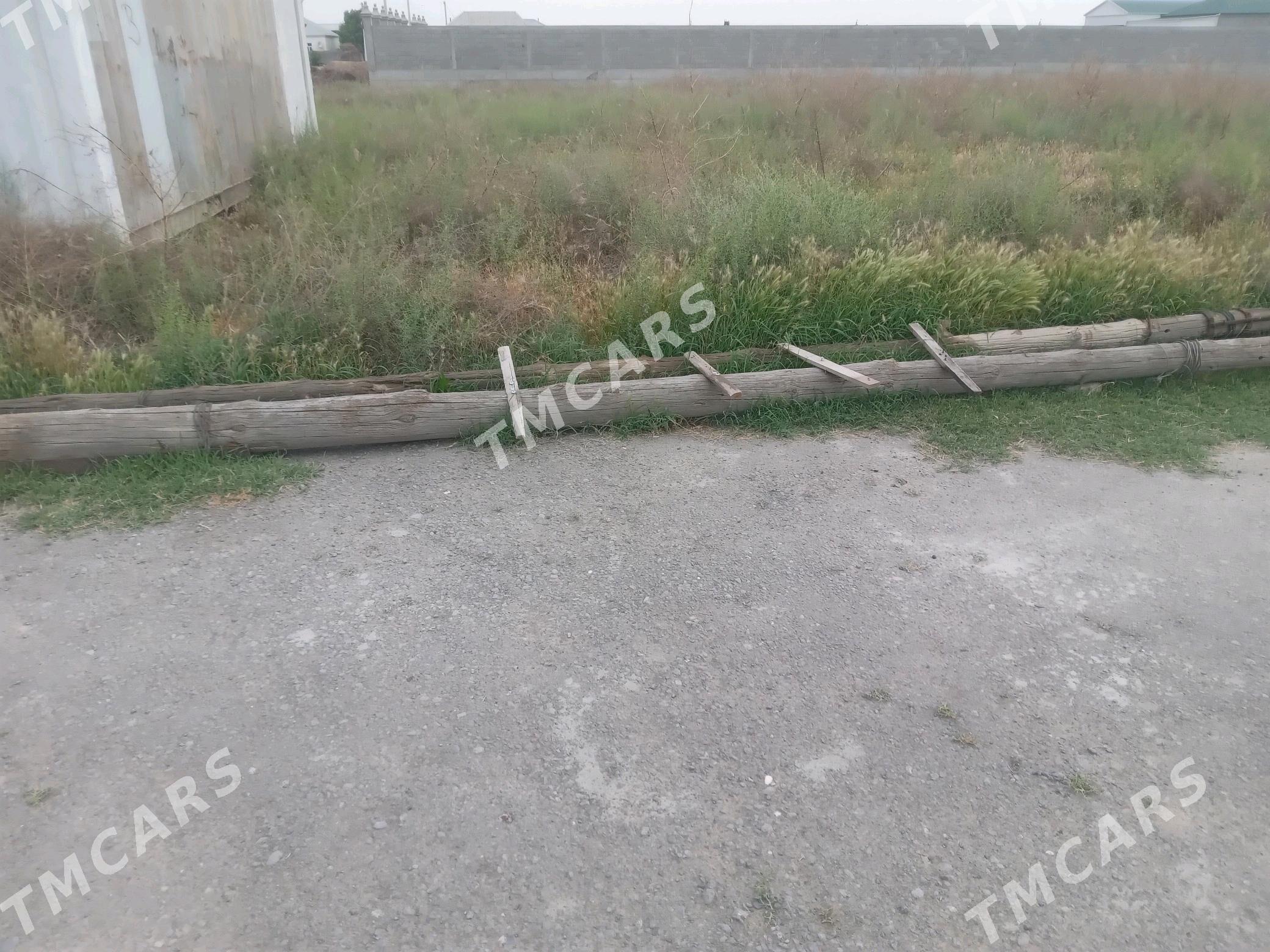 stolba purus - Гёкдепе - img 2