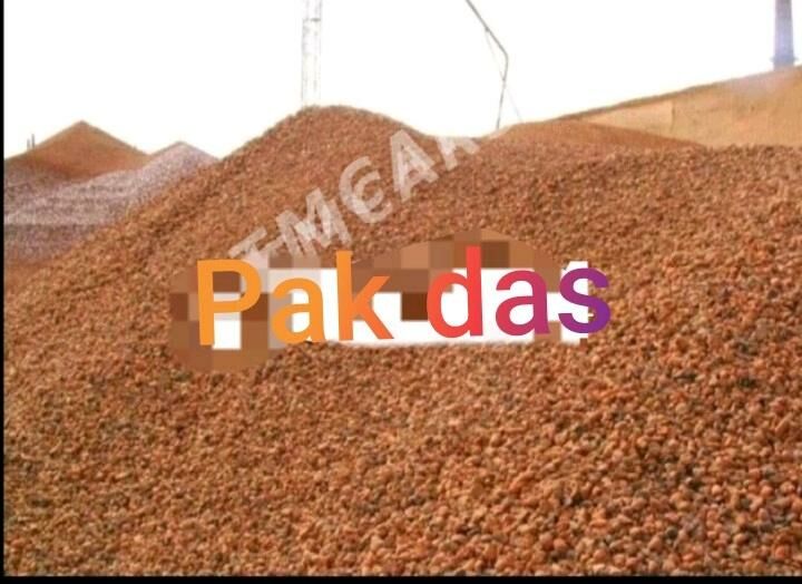 miti sement gum pulpa kerpic ş - Bedew - img 3