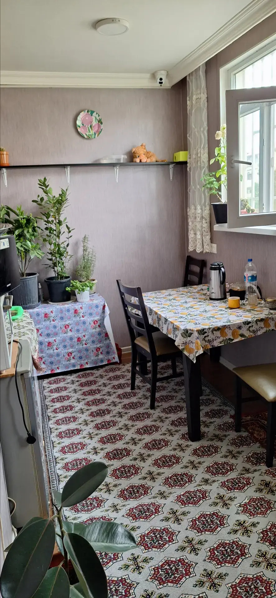 30 mikr arzan  Gyssagly - Aşgabat - img 5