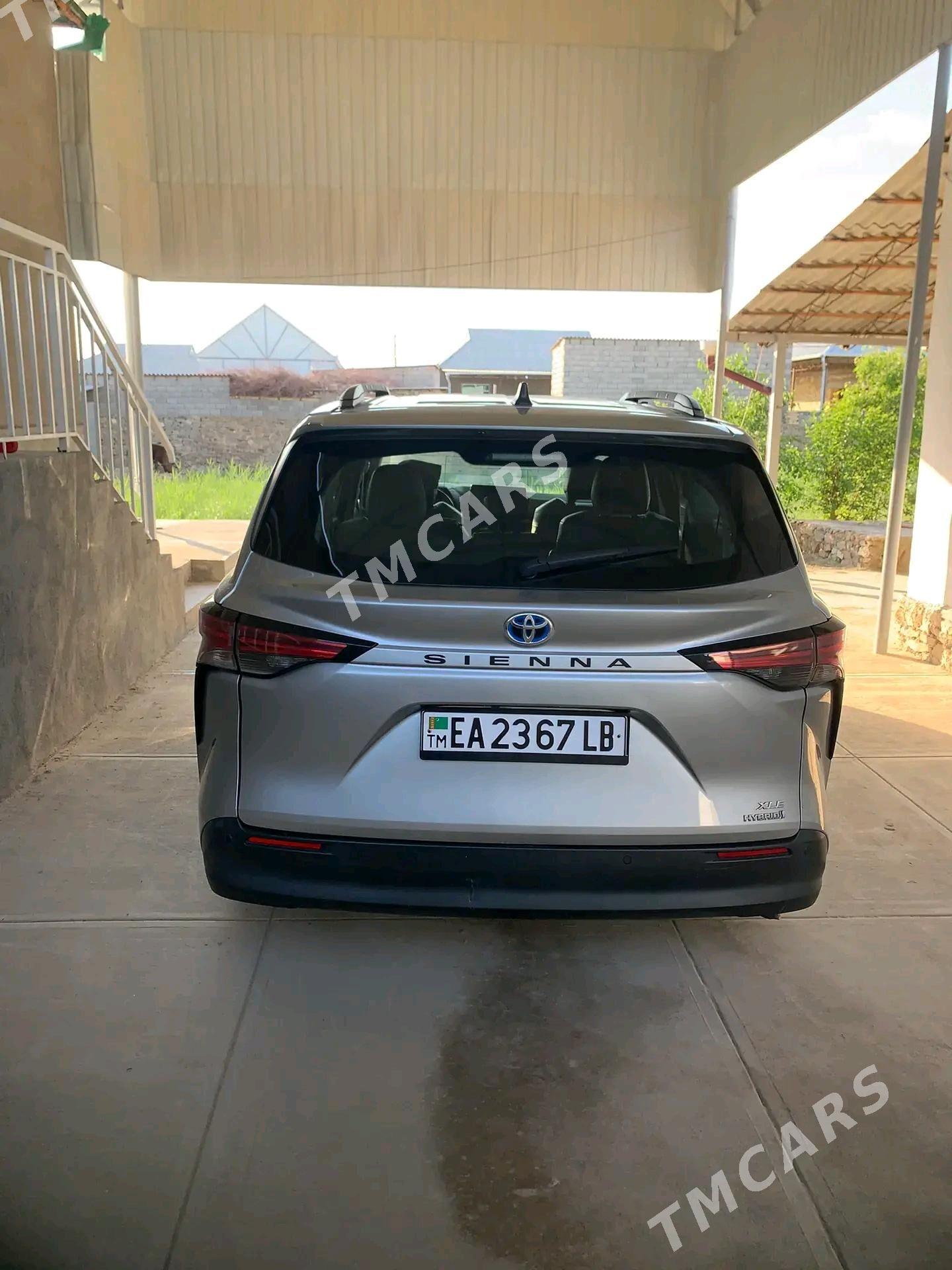Toyota Sienna 2021 - 490 000 TMT - Койтендаг - img 3
