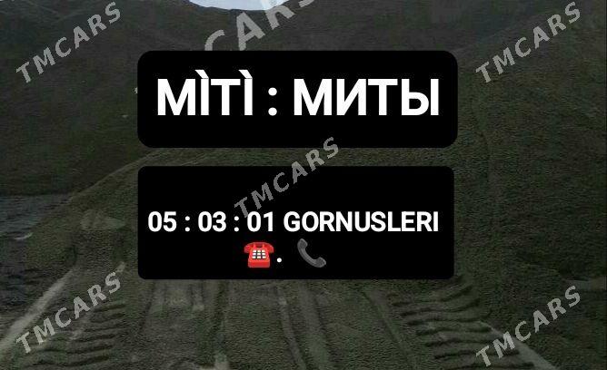 MYTY GUM MITI SEMENT DERS CAGE - Arzuw - img 1