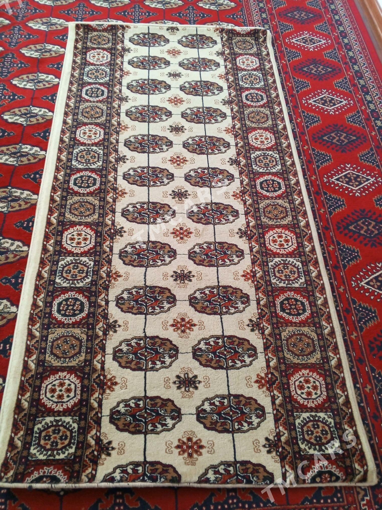 haly - Büzmeýin GRES - img 3