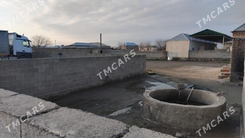 Satlyk jay - Бахарден - img 2