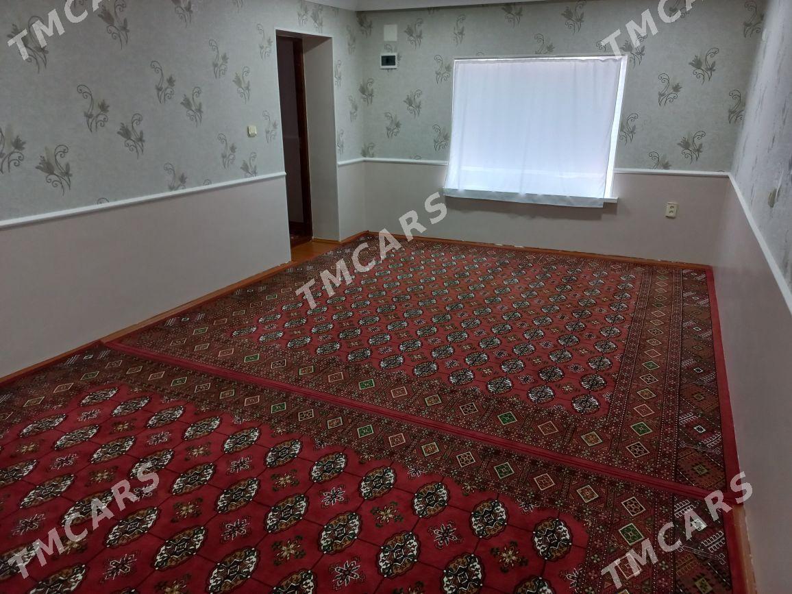 Satlykjaý MR BIDÝONY - Mary - img 10