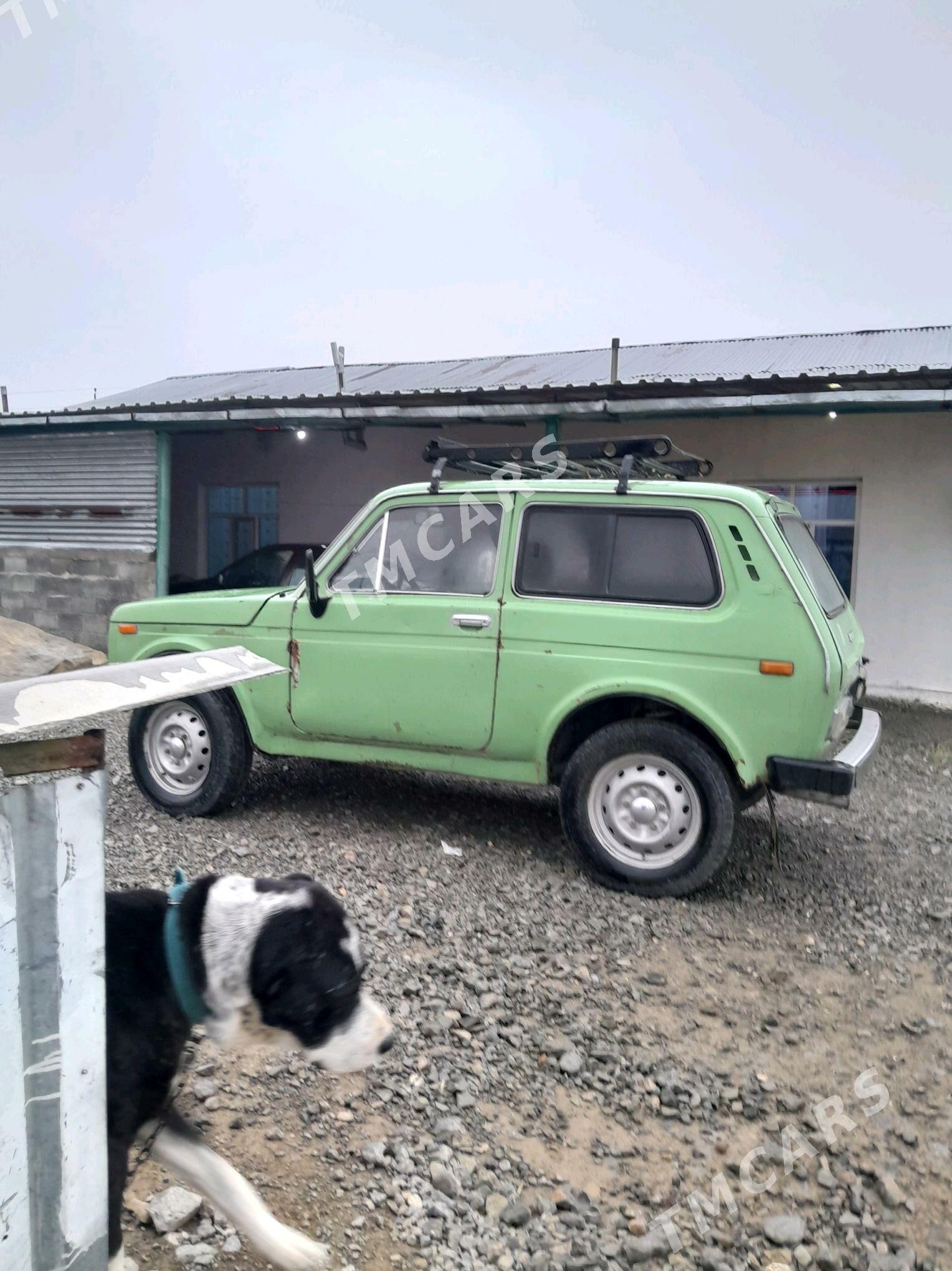 Lada Niva 1988 - 30 000 TMT - Гызыларбат - img 3